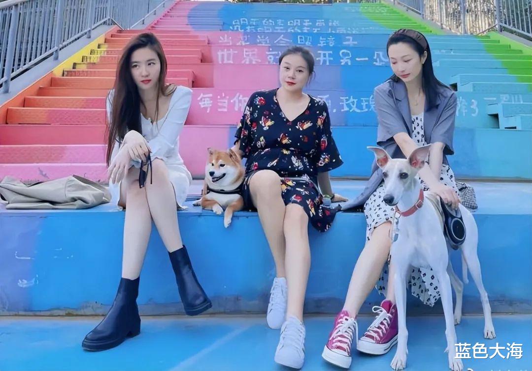 刘亦菲|刘亦菲的腿，绝了