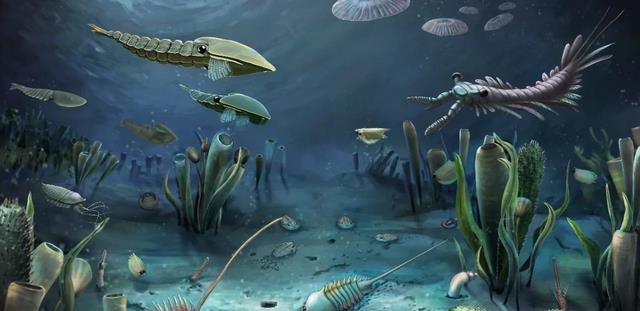 一个可怕的事实:人类正在遭遇第六次生物大灭绝