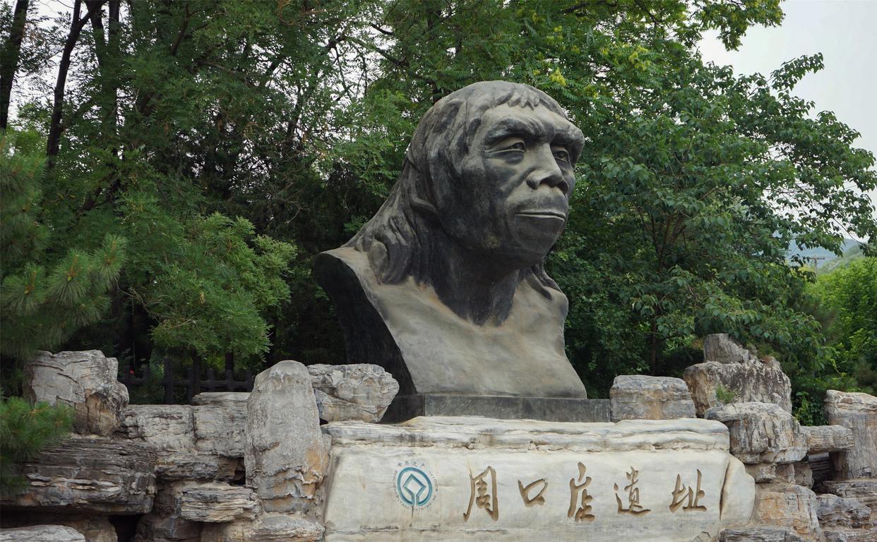 中国人究竟起源于哪里