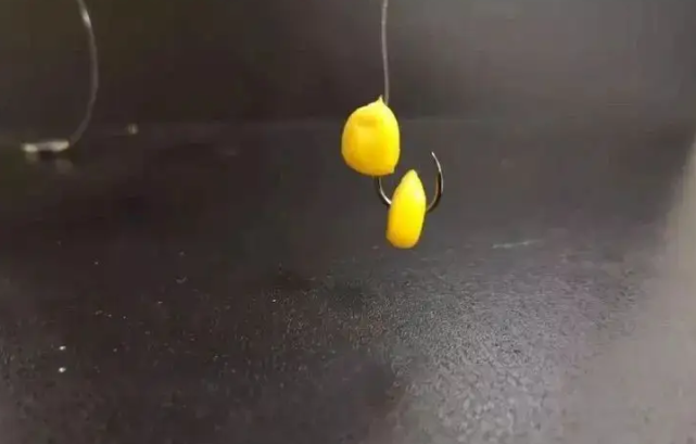 鄱阳湖|进入七月，“长江流域”开始放钓，想要连竿爆护？这几点必须清楚