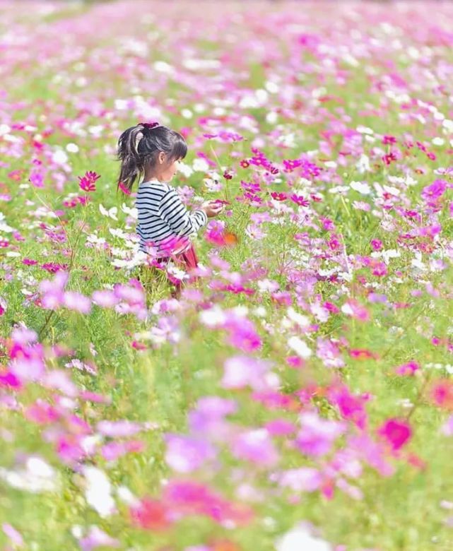 宫崎骏|日本爸爸把女儿拍成宫崎骏动画，治愈无数人，每天都有上万人催他晒娃！