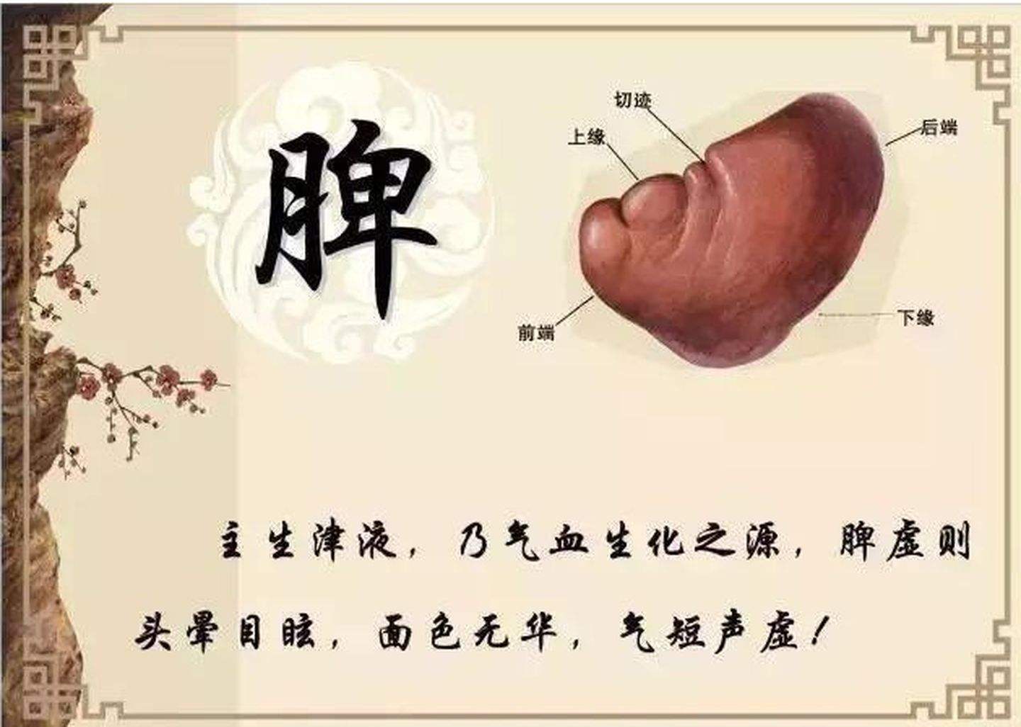 脑梗|一个仙方三补丸,一补肾,二补肝,三补脾,补足气、血、精