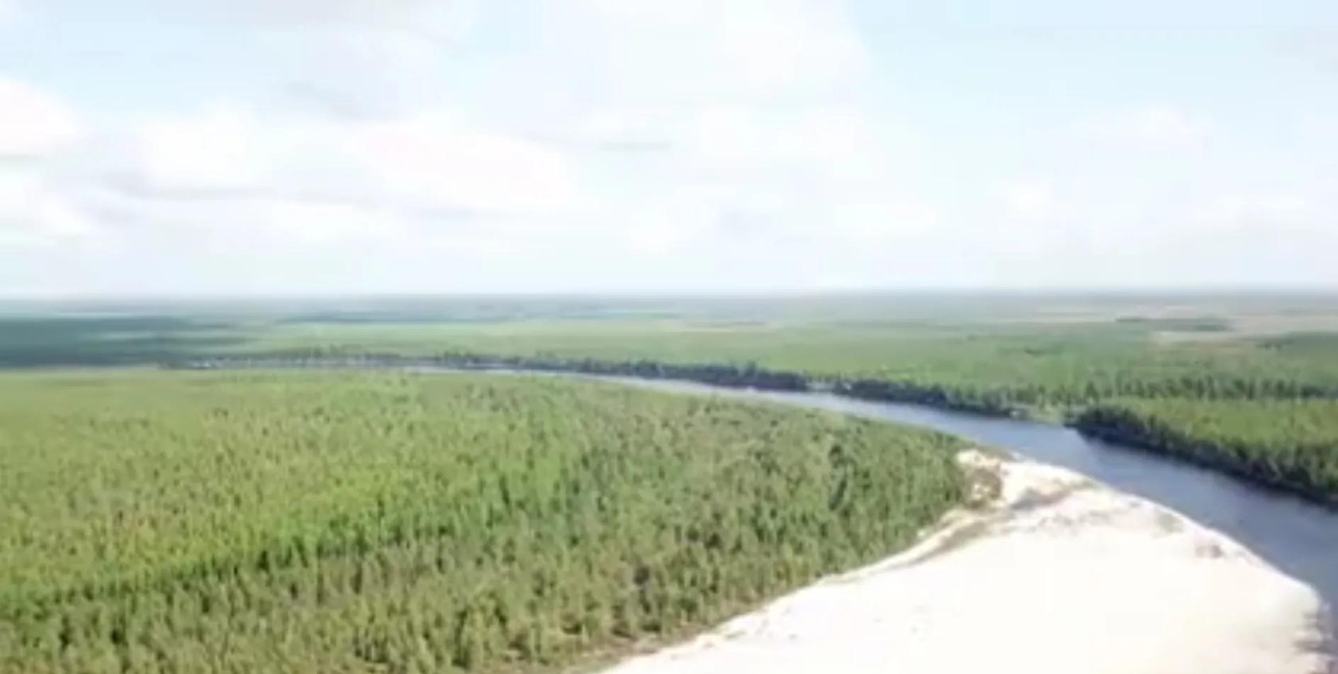 浙江省|科米原始森林——欧洲面积最大的原始森林