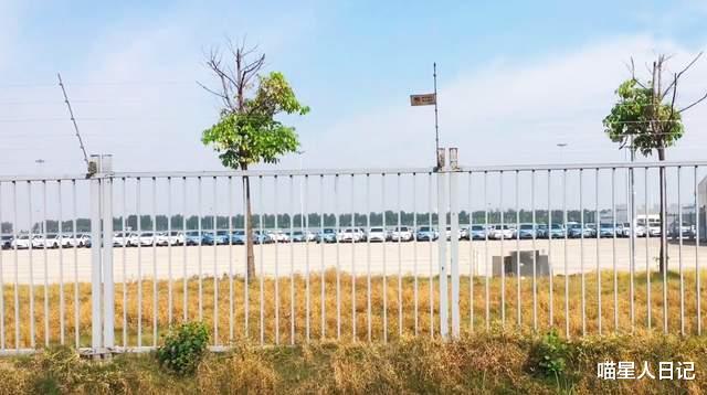 人力资源|路过武汉郊区这座巨型工业园,马路名字都是汽车品牌,一天逛不完