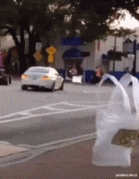 赵丽颖|赵丽颖宣布喜讯！网友：早就看你们不对劲了！