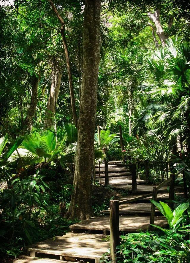 最美中国|对我国人民免签，还是一个无癌国家，幸福指数全球NO.1