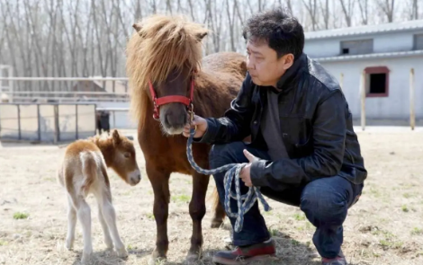 于谦|于谦50岁生日，郭德纲从新西兰花100万买了匹“汗血宝马”送给他