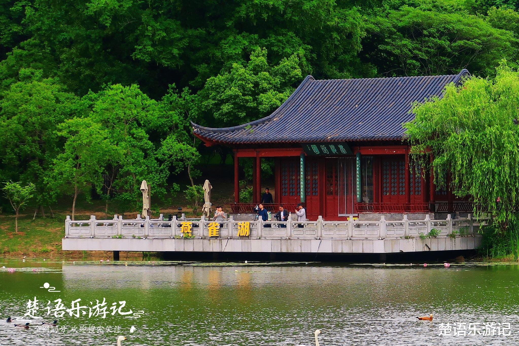 十里画廊|南京这个湖不仅充满传说，而且四季皆是风景，水杉林美如童话世界