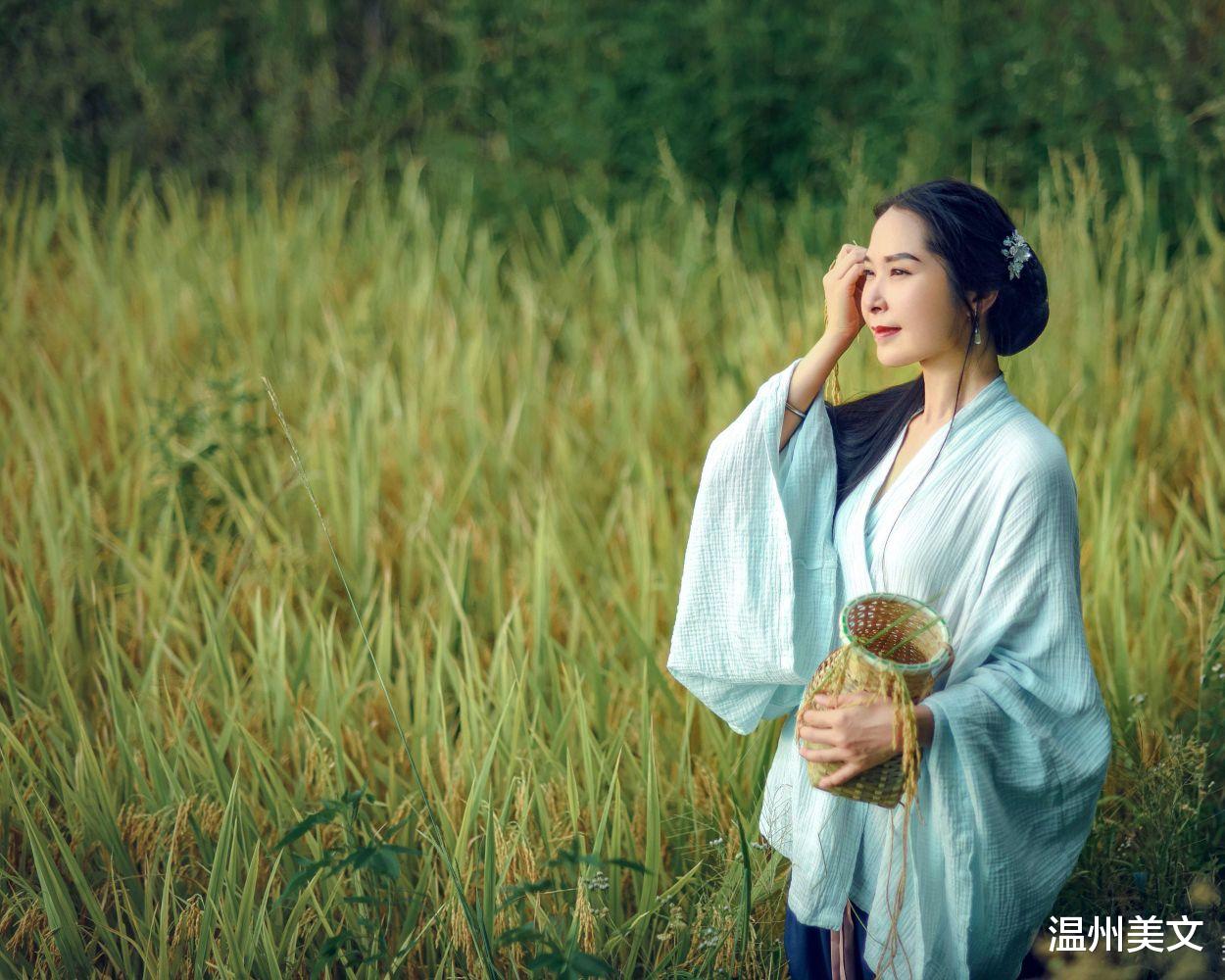 |稻田间走走，熟悉的地方也能看见美景