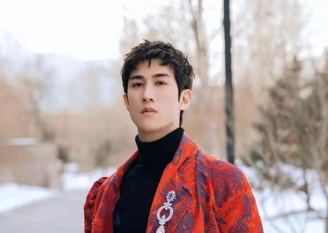 |6对长相相似的男星，吴磊王鹤棣各具特色，成毅李宏毅被说分不清