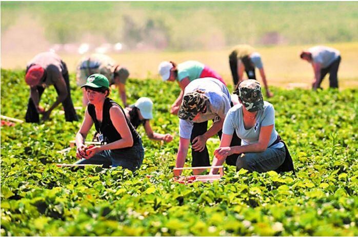 大学|盘点四个好玩又实用的专业，学习和玩两不耽误，毕业还好找工作