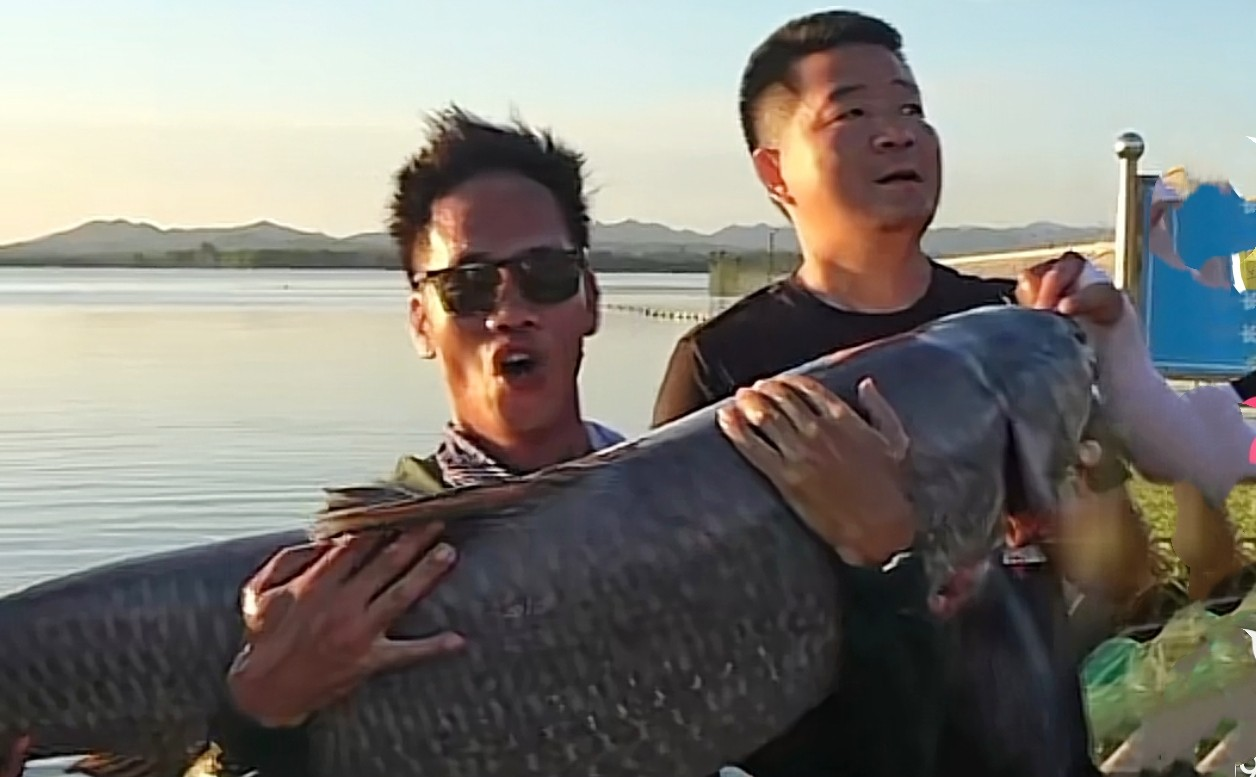 礼泉|王者之战垂钓中表现抢眼的郑益村,有实力挑战钓王邓刚吗?