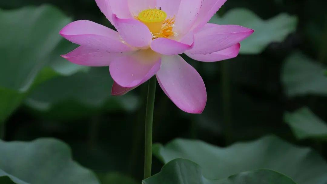 |一个人想要命好，一定要忌做这两件事