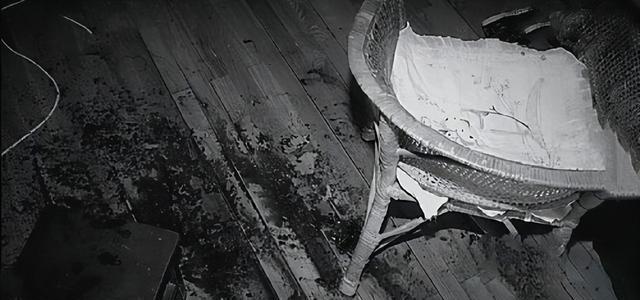 2009年苏州一对夫妇惨死,凶手是亲生女儿,判死刑后只说了8个字