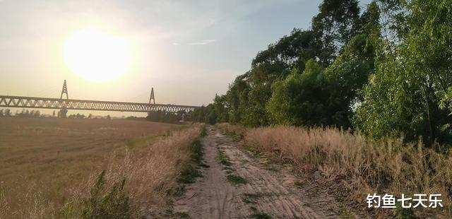 池子|黄河也快见底了！在郑州，钓鱼成了一件“大难事”