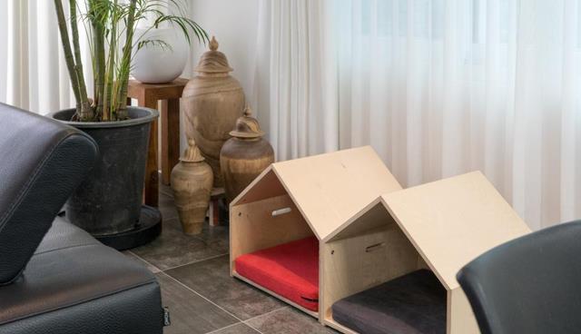 杭州|280花艺师的家,独门独栋别墅,院子种满了花花草草,让人羡慕!