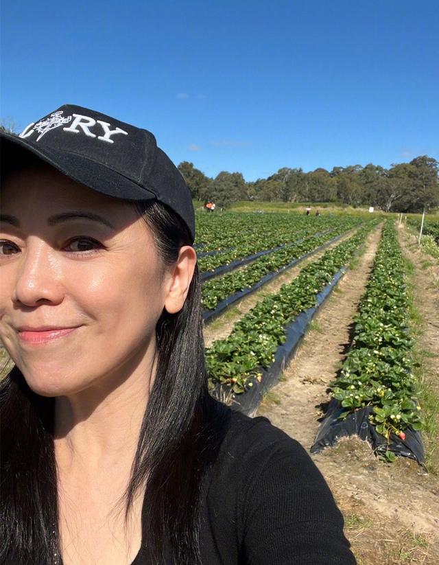 邓萃雯|邓萃雯晒澳洲生活靓照，农场摘草莓笑开怀，56岁冻龄有术仍未婚！