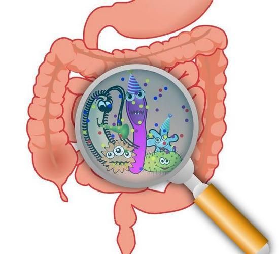 近视|屁多,是胃里的空气多?医生:并不是,小心这4种病“作妖”
