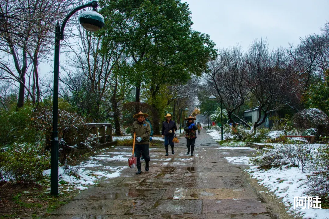 新疆维吾尔自治区|踏着雨雪寻梅，到西溪绿堤再合适不过，可惜花儿盛开还得等年后