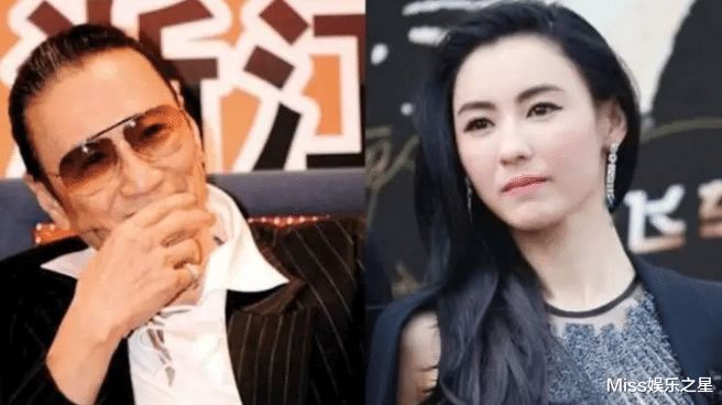 张柏芝|张柏芝带孩子定居上海,疑与三胎生父有关,孙东海被指嫌疑最大