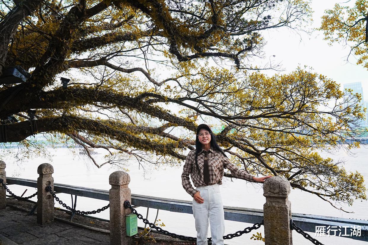 旅游业|浙江温州有个很出名的岛屿，坐船3分钟，门票6元，名胜古迹特别多