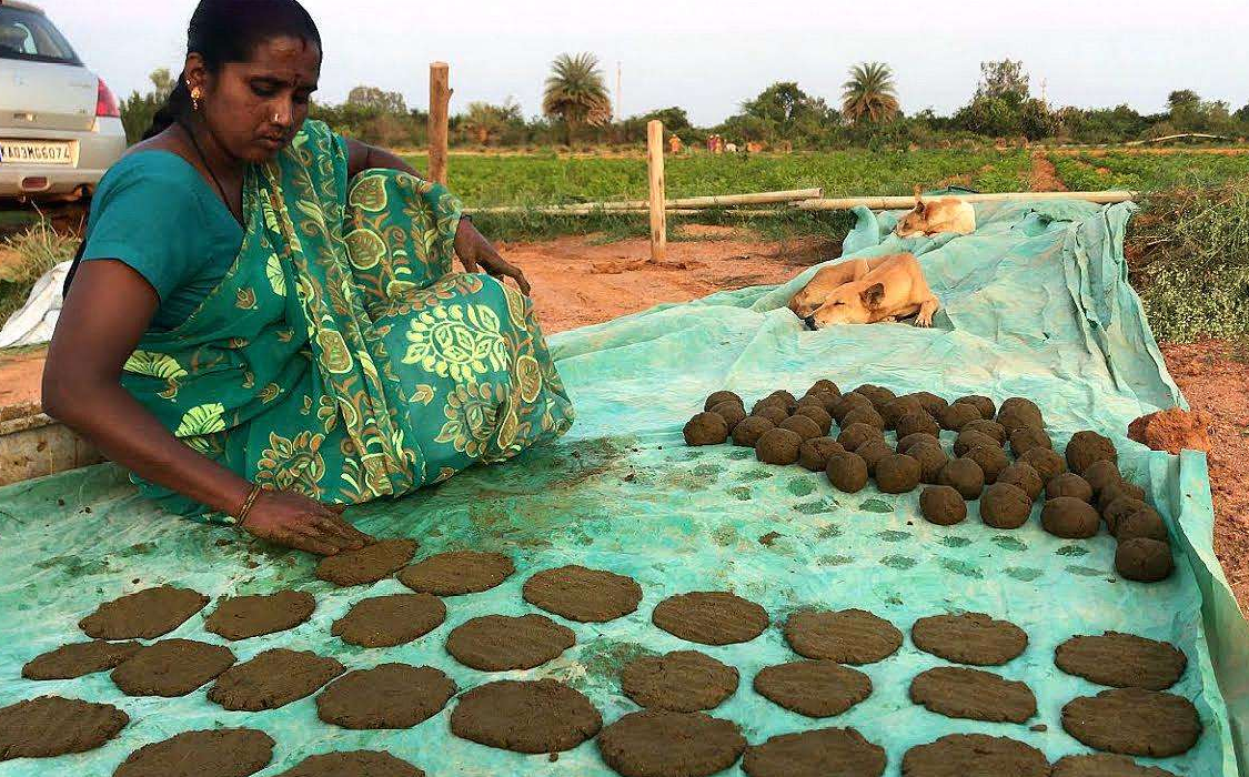 芯片|一枚售价67元,印度“首创”芯片技术,将大量出口到美国