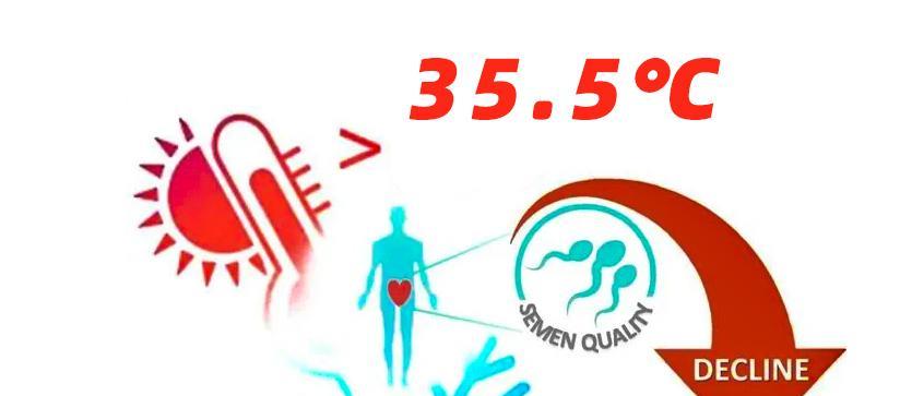 奥密克戎如何杀死你生殖细胞的?阳过以后,生殖细胞活动率仅剩2%