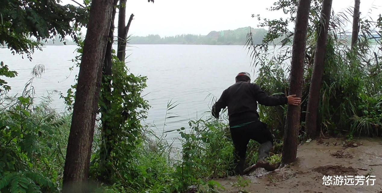 |为了几条便宜鱼,硬生生把自己送进了班房,钓鱼人的天堂遭破坏