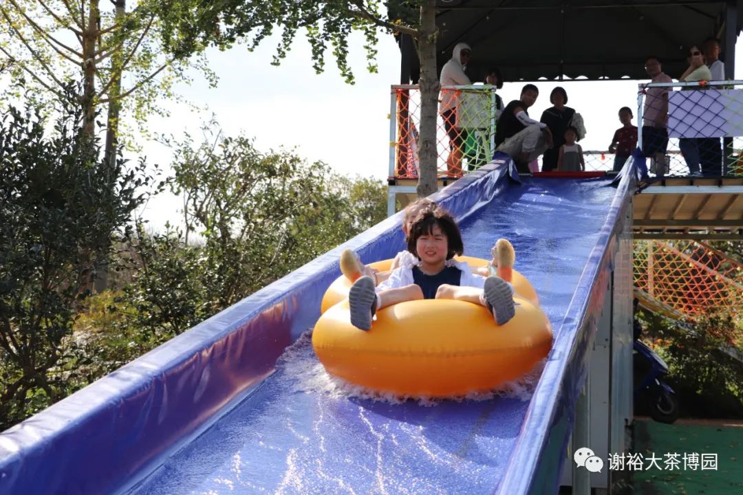 安徽|安徽人游安徽 | 国庆假期到谢裕大茶博园 嗨玩一整天不重样!