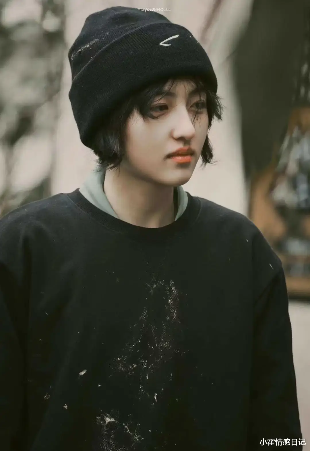 王丽坤|人畜无害的张子枫怎么成了姬圈天菜