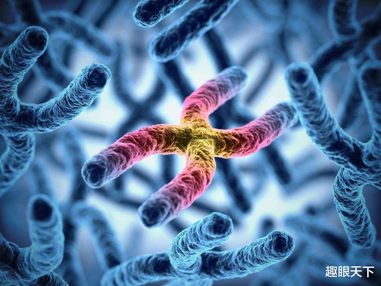 科学家惊奇地发现人类DNA中藏着一个“超级计算机”!神真的存在吗?
