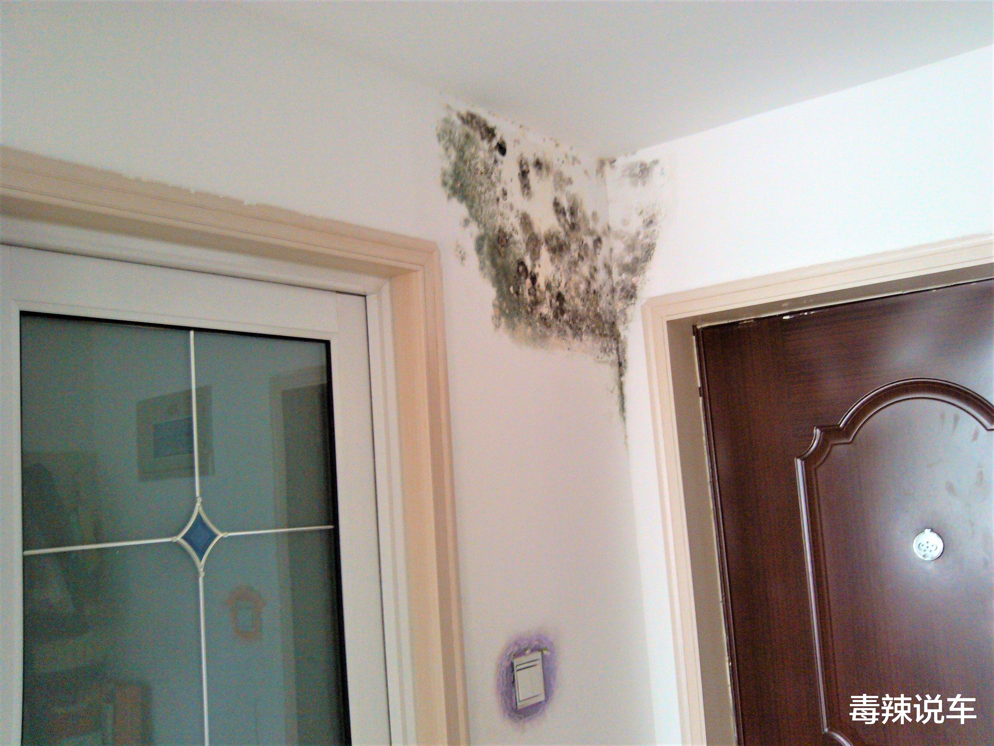 主卧真的不能带卫生间吗？3大优点不可替代 3大缺点可以避免