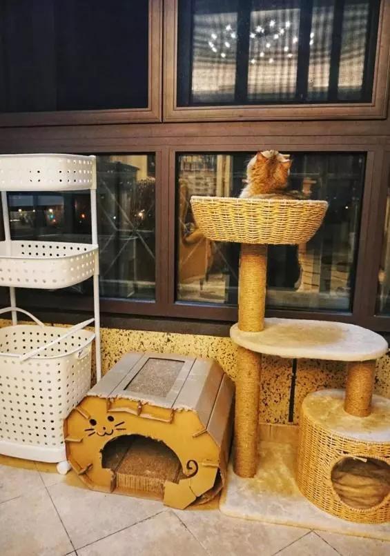 只有一个阳台,一定不要乱装!这么做等于多了一间房,实用!