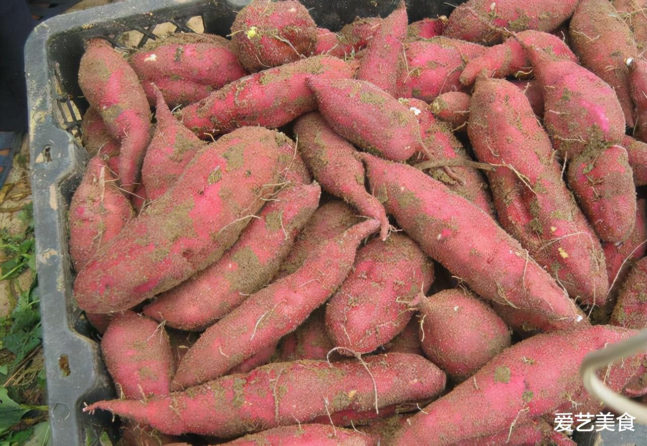 买红薯时,遇见这4种红薯甩头就走,菜贩子自己都不吃,别再吃亏