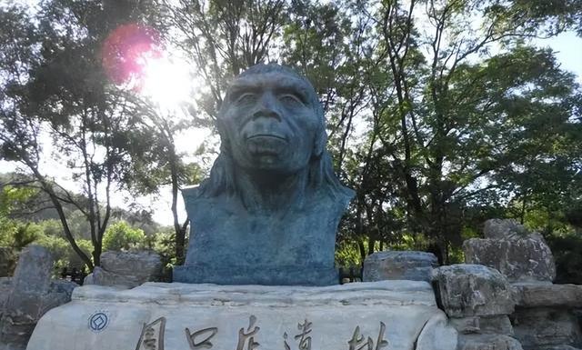 我国科学家证实,人类是从鱼进化来的,网友:以后还能吃鱼吗