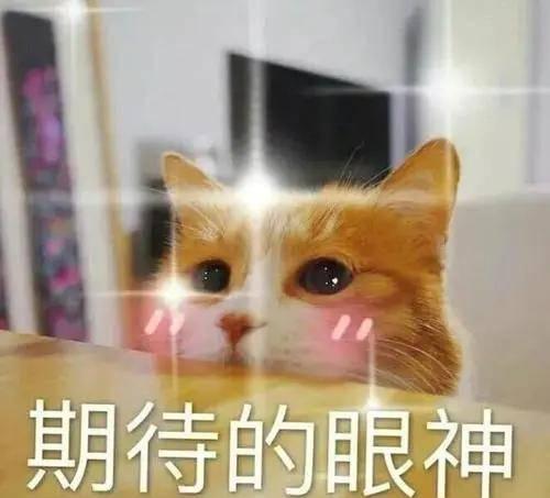 宋茜|李谷一春晚第20次演唱《难忘今宵》！一婚嫁恩师二婚嫁粉丝