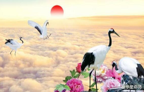 生肖|日元庚金旺,福气吉祥的生肖