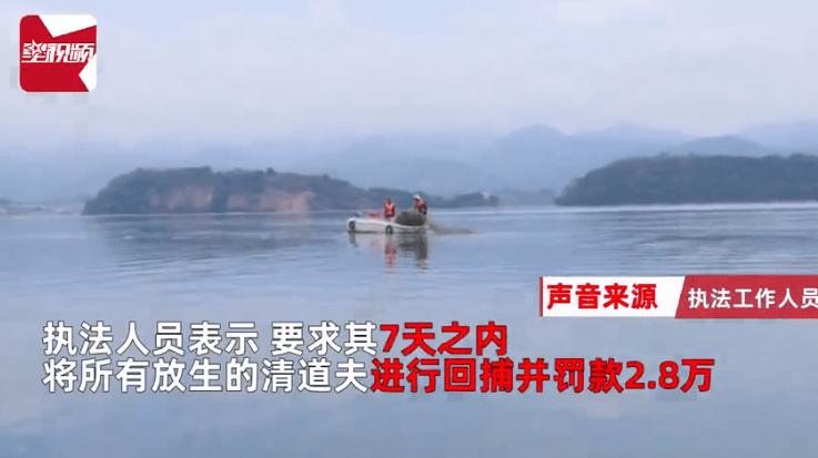 男子放生入侵物种被罚2.8万,当地:7日内全捞起来!
