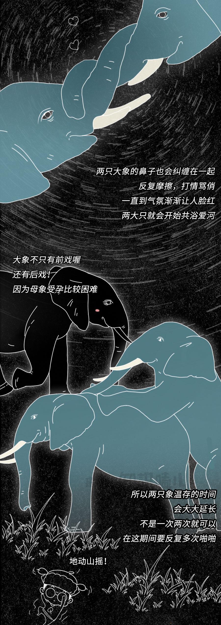 一组漫画揭开:动物“奇特”的求偶方式,真的太浪漫了