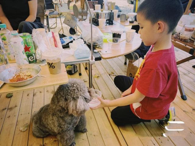 梅婷|梅婷一家四口露营,9岁女儿下河摸鱼接地气!儿子不愿下水太娇气