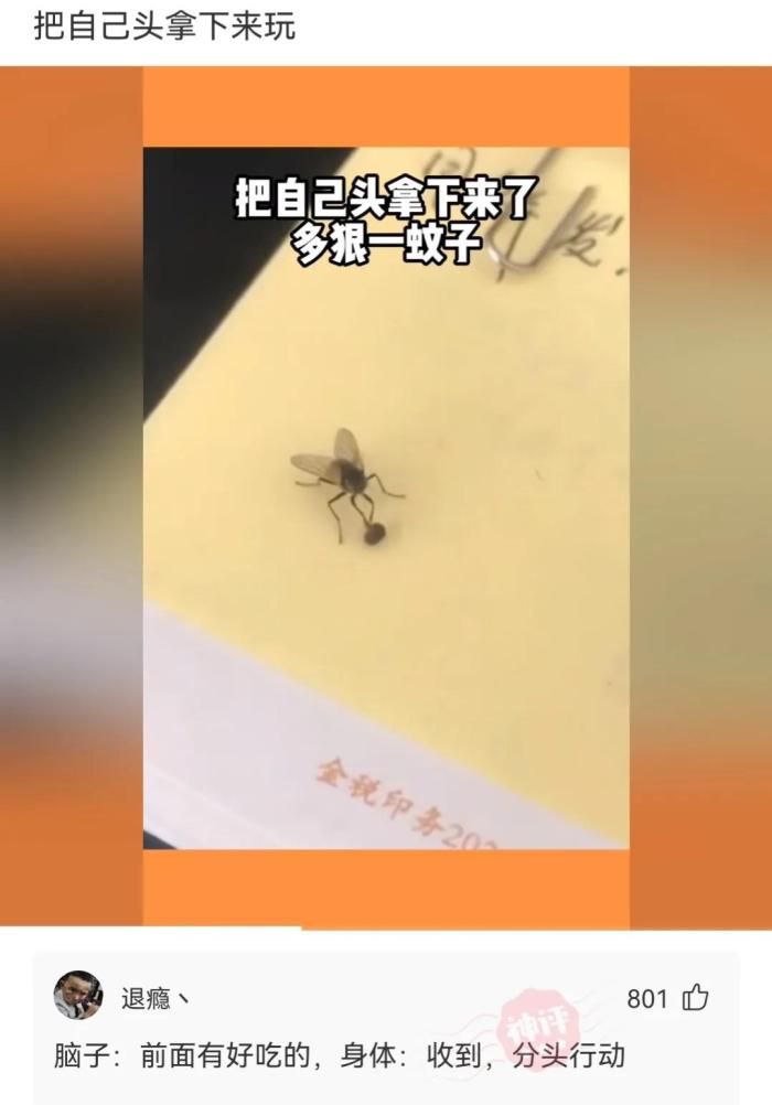 杏鲍菇 轻松一刻：富婆迟暮亦红颜，男人至死是少年