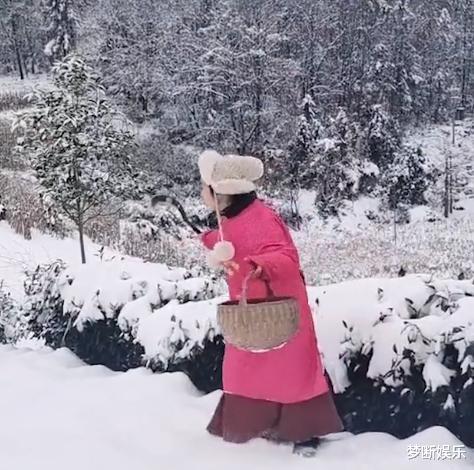 湖北女子去雪地里摘菜,菜园子白茫茫一片,女子的举动逗乐网友