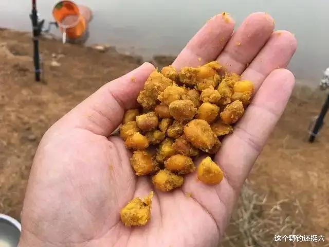 |一把玉米就能让你轻松钓到鲤鱼!两个实例告诉你越简单越高效!