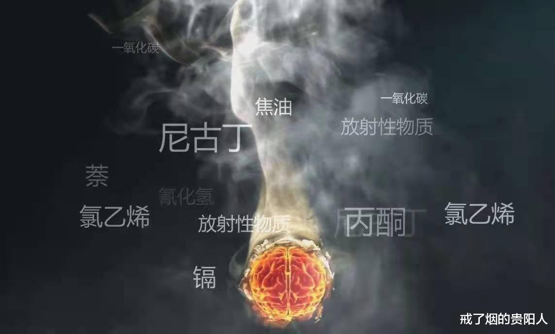 长寿|戒烟,就是善待自己