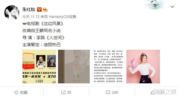 迪丽热巴|热巴被曝参演新剧《这边风景》！阵容班底超强大，或可冲击白玉兰