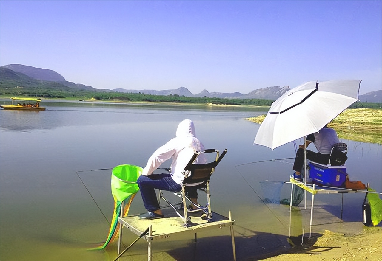 饵料|钓友圈出了个怪事，老赵左右的钓位成了香饽饽，原因何在？