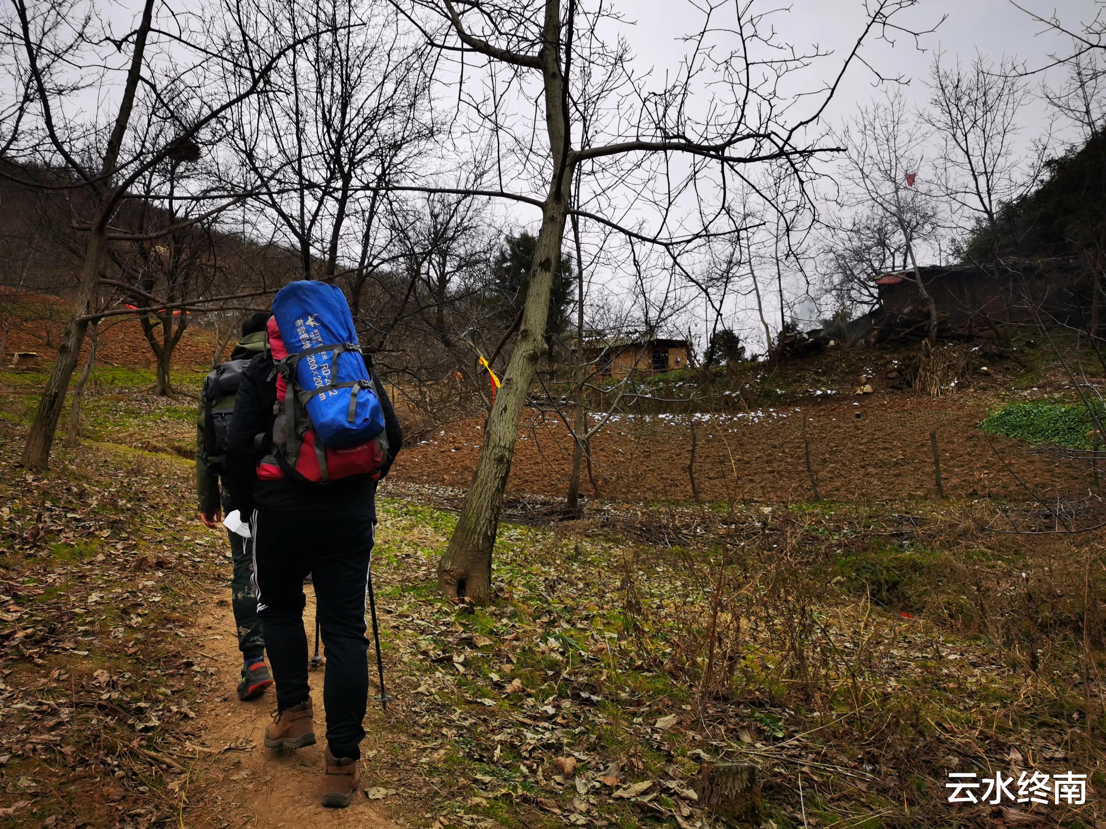 弥勒|海拔900米的秦北麓还有10多亩毛竹林,真是神奇