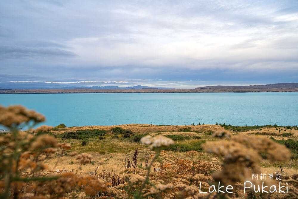 越南|普卡基湖LAKE PUKAKI ，纽西兰蓝色牛奶湖，绝美景点好好拍！
