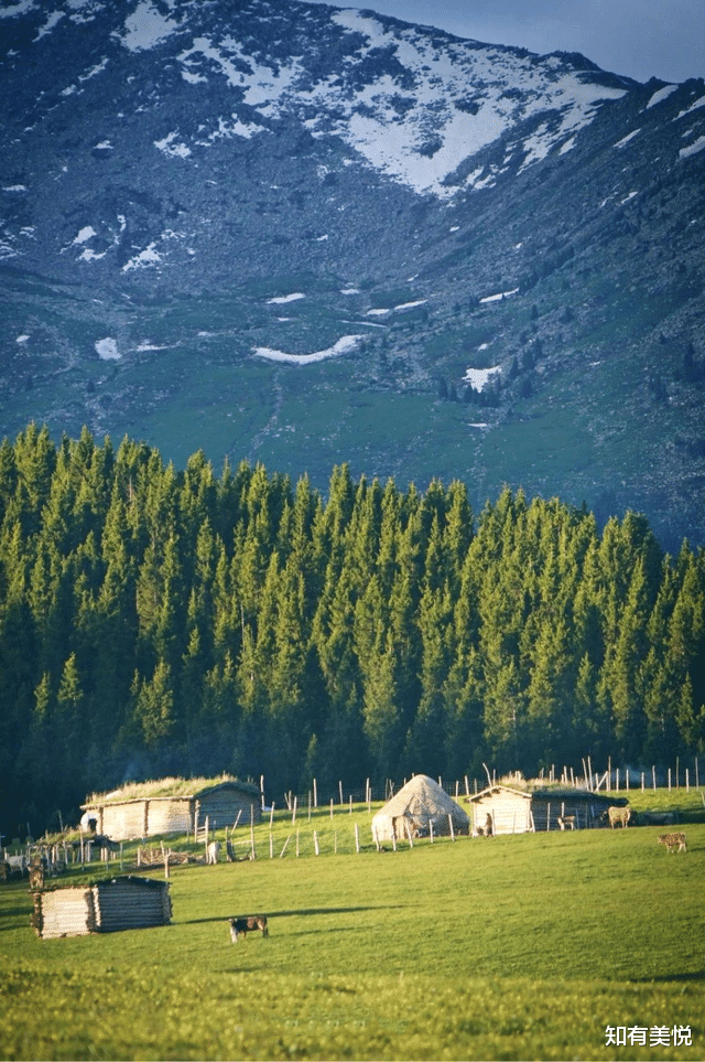 胡杨林|人少不挤,当季最美,这9个小众旅行地,这个夏天一起去探秘吧