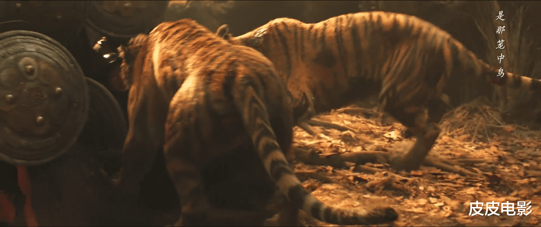 谢苗|时隔27年,这位“李连杰的接班人”,终迎来触底后的,最强反弹